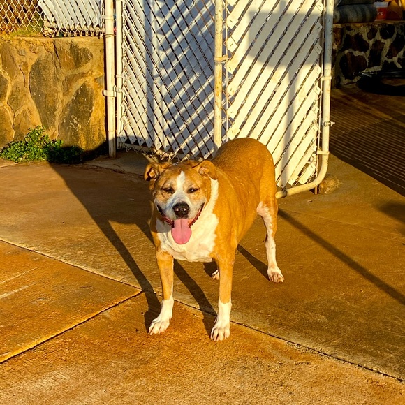 Meet your Posher, Victoria - Picture 1 of 1